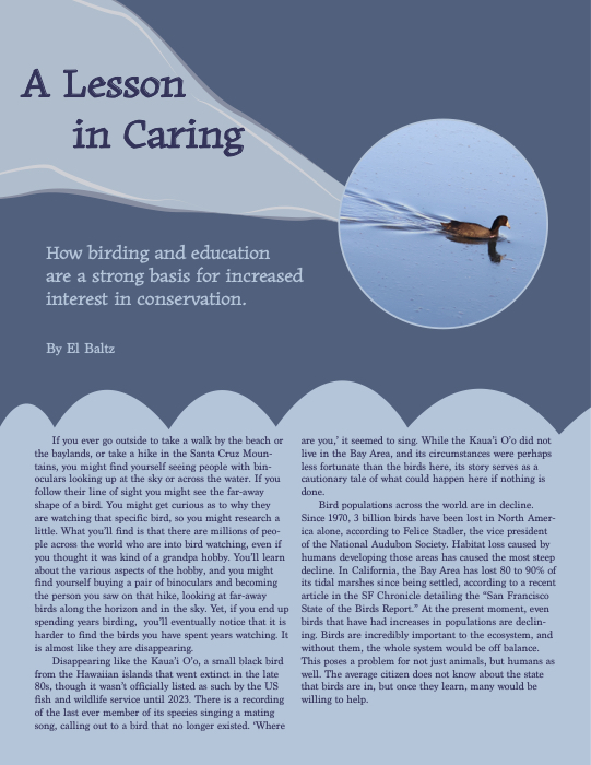 Article by El Baltz